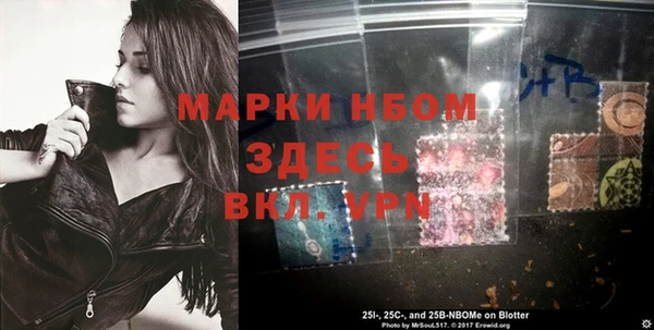 мет Алексин